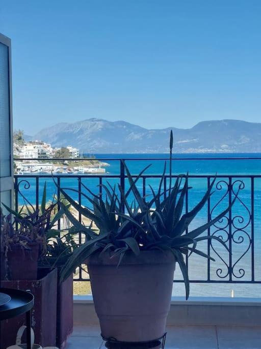 Bright Central Apartment With Splendid Sea View! Халкида Экстерьер фото